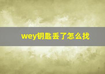 wey钥匙丢了怎么找