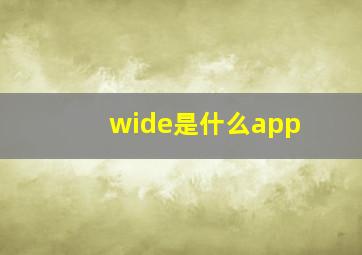 wide是什么app