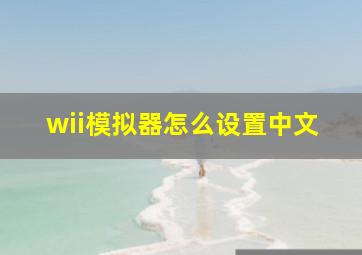 wii模拟器怎么设置中文