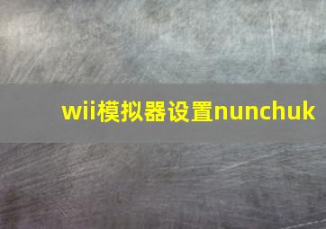 wii模拟器设置nunchuk