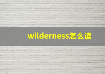 wilderness怎么读