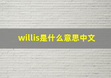 willis是什么意思中文