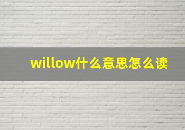 willow什么意思怎么读