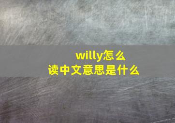 willy怎么读中文意思是什么