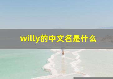 willy的中文名是什么