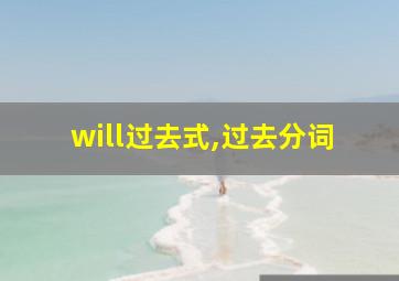 will过去式,过去分词