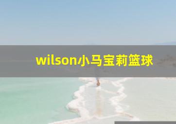 wilson小马宝莉篮球