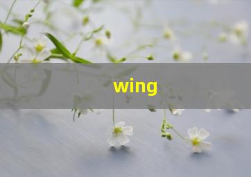 wing