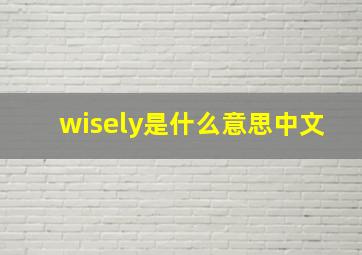 wisely是什么意思中文