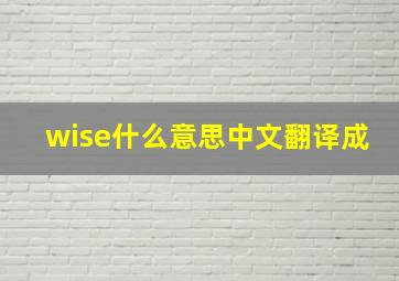 wise什么意思中文翻译成