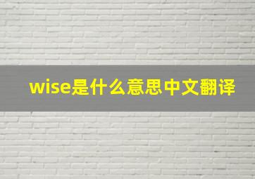 wise是什么意思中文翻译