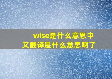 wise是什么意思中文翻译是什么意思啊了