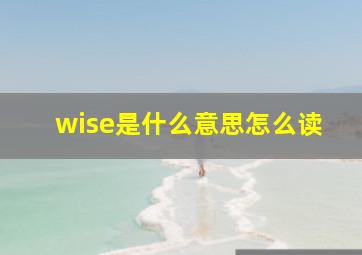 wise是什么意思怎么读