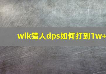 wlk猎人dps如何打到1w+