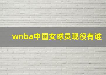 wnba中国女球员现役有谁