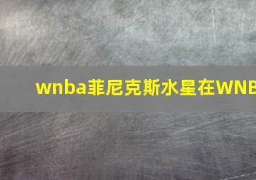 wnba菲尼克斯水星在WNBA