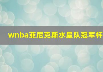 wnba菲尼克斯水星队冠军杯