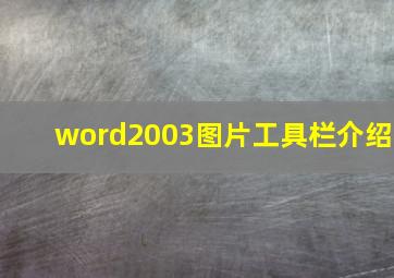 word2003图片工具栏介绍