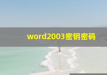 word2003密钥密码