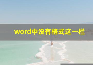 word中没有格式这一栏