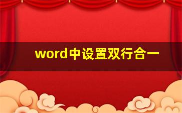 word中设置双行合一