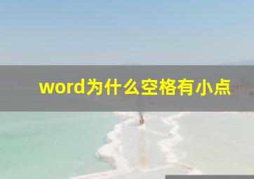 word为什么空格有小点