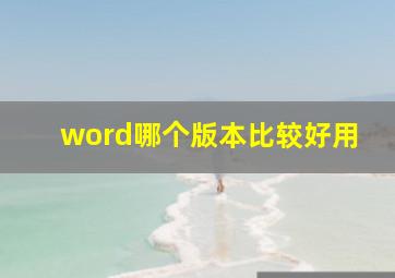 word哪个版本比较好用