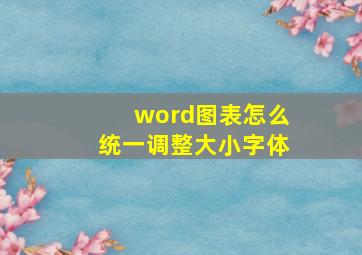 word图表怎么统一调整大小字体