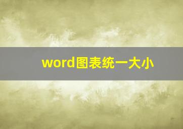 word图表统一大小