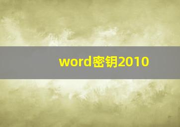 word密钥2010