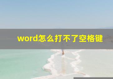 word怎么打不了空格键