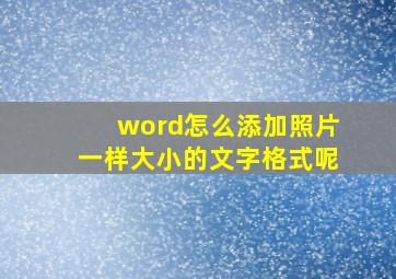 word怎么添加照片一样大小的文字格式呢