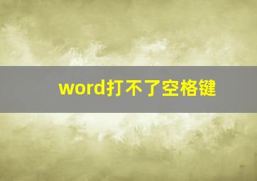 word打不了空格键