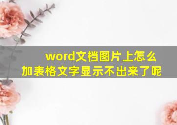 word文档图片上怎么加表格文字显示不出来了呢