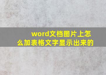 word文档图片上怎么加表格文字显示出来的