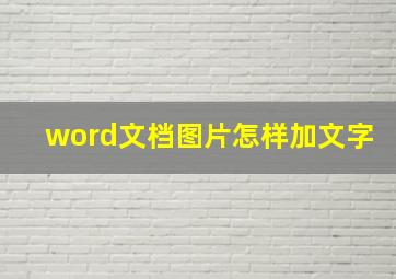 word文档图片怎样加文字