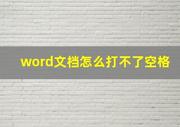 word文档怎么打不了空格