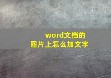 word文档的图片上怎么加文字