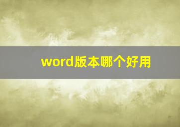 word版本哪个好用