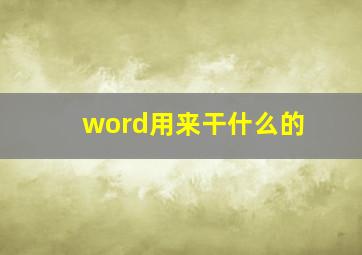 word用来干什么的