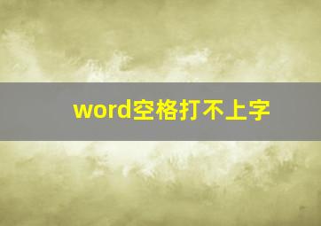 word空格打不上字