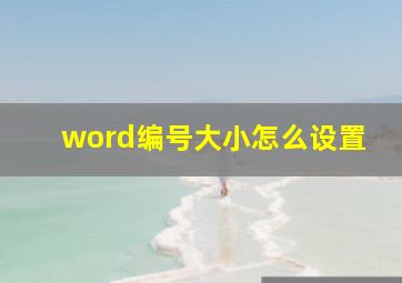 word编号大小怎么设置