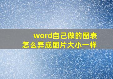 word自己做的图表怎么弄成图片大小一样