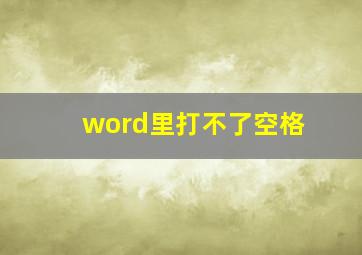 word里打不了空格