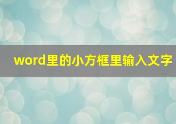 word里的小方框里输入文字