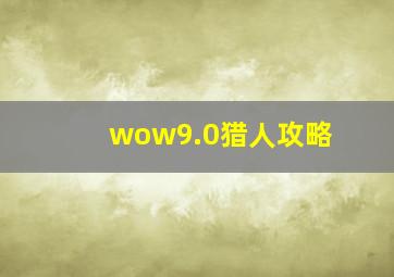 wow9.0猎人攻略