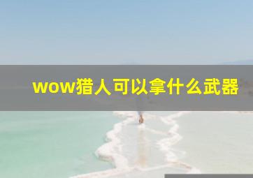 wow猎人可以拿什么武器