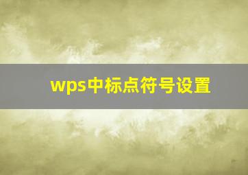 wps中标点符号设置