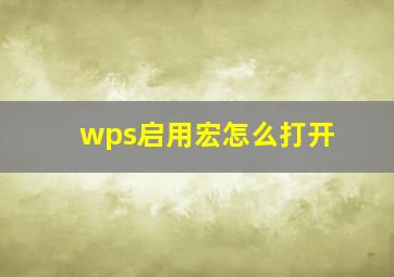 wps启用宏怎么打开