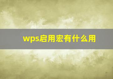 wps启用宏有什么用